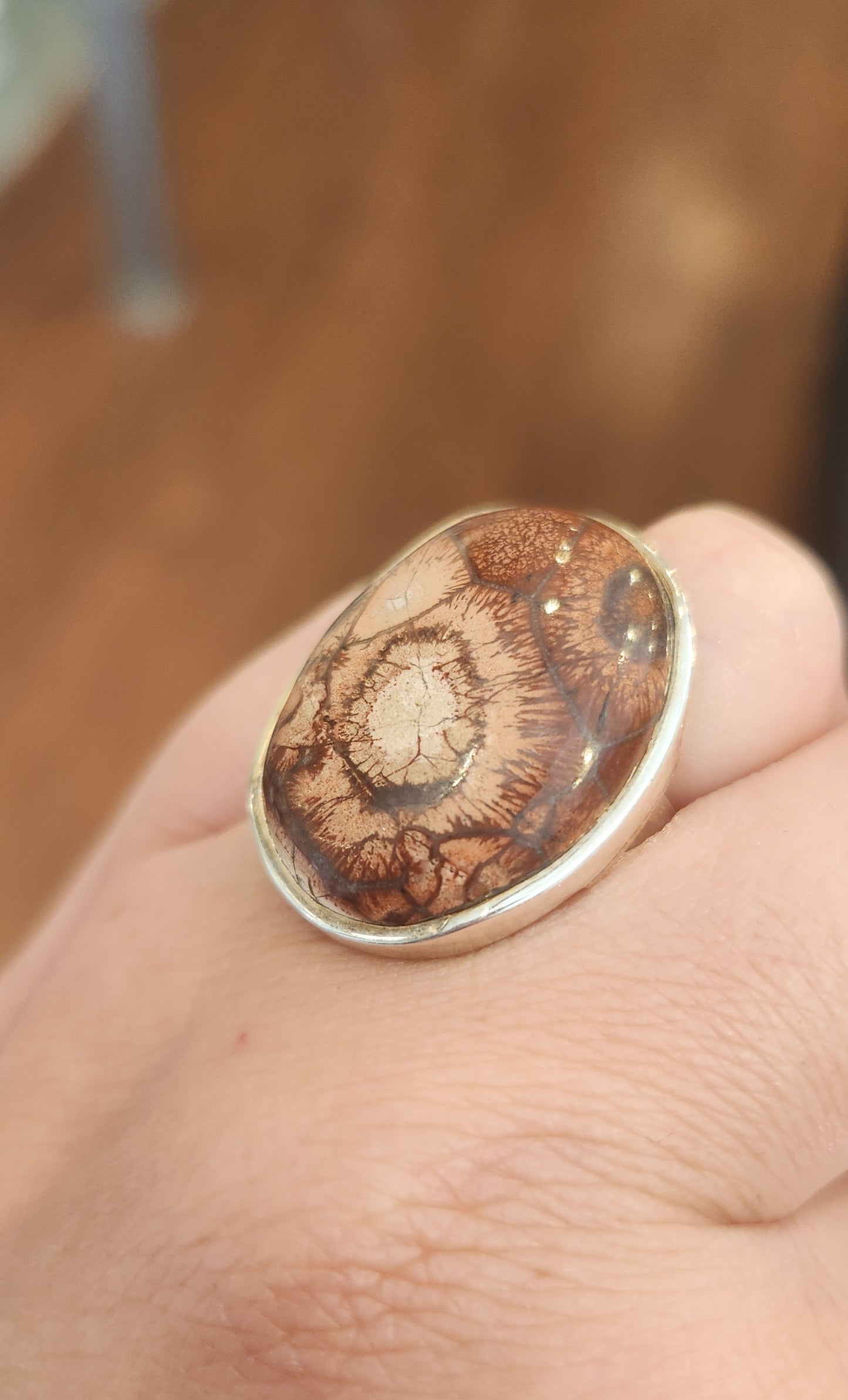 Sterling silver petrified wood statement ring